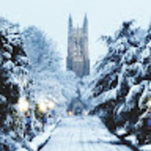 Meet your Posher, Cathy